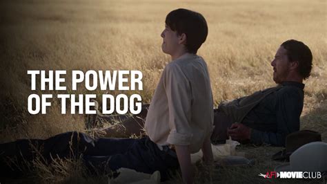 alluc the power of the dog|‘The Power of the Dog’: About That Ending .